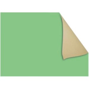 Papel Cartão Fosco 40x66cm - Verde Claro