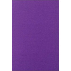Placa de EVA Liso 40x60cm - Roxo