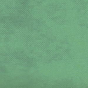 TNT Liso 40g - Verde Claro (1,40m x 1m)